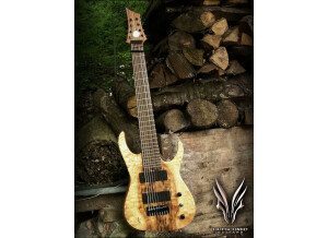 Hufschmid Guitars H8 Salvaged Old Growth Western Maple Top