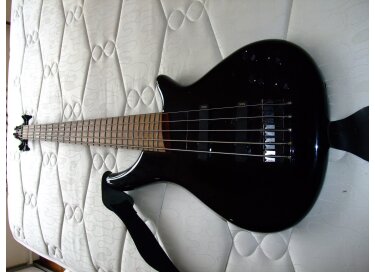 Bass Collection SB 315