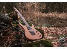 Hufschmid Guitars H6E