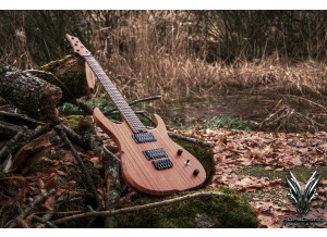Hufschmid Guitars H6E