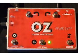 Molten Voltage OZ Looper Controller