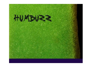 Detunized DTS049/DTG049 - HumBuzz