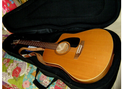 Art & Lutherie Spruce EPM Quantum