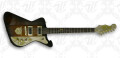 Guitare Wild Customs The Fireowl