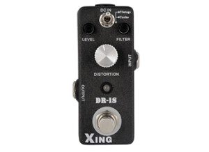 EX Amp DR-1S Xing