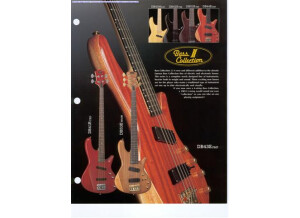 Bass Collection DB53E