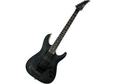SR Guitars SRSS Master II