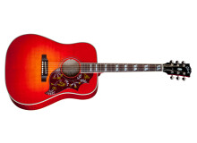 Gibson Maple Hummingbird