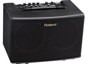 Roland AC-40