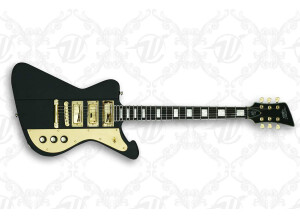 Wild Customs The Dark Firewild Gold III