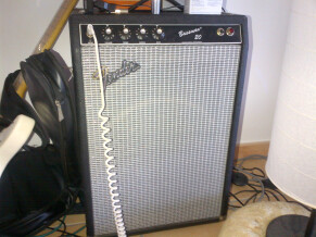 Fender Bassman 20