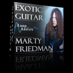 Guitar loops by Marty Friedman