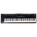 See the photo of the Kurzweil PC88 Kurzweil PC88