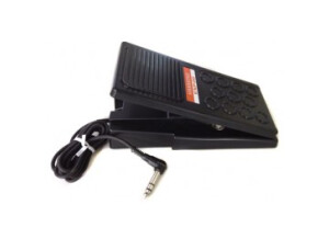 Hammond EXP-20