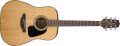Takamine met à jour sa série G