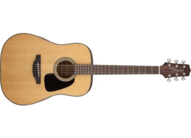 Takamine GD10