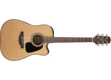 Takamine GD10CE