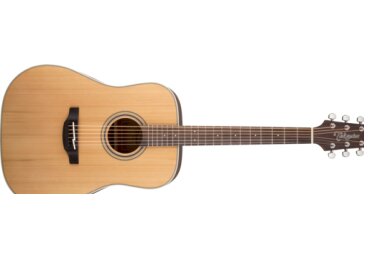 Takamine GD20