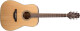 Takamine met à jour sa série G