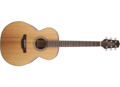 Takamine GN20