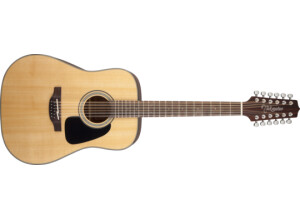 Takamine GD30-12