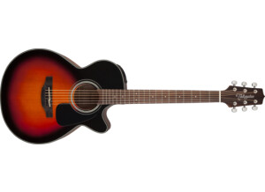 Takamine GF30CE