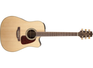 Takamine GD71CE