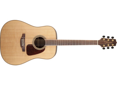 Takamine GD93