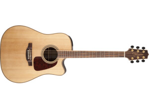 Takamine GD93CE