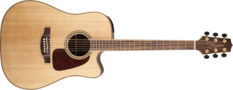 Takamine GD93CE