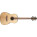 See the photo of the Takamine GY93 Takamine GY93