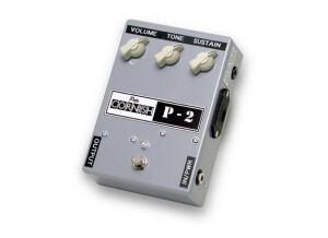 Pete Cornish P-2