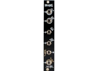Make Noise Brains