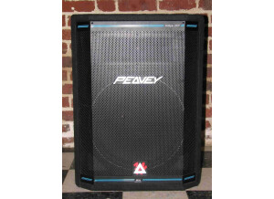 Peavey HiSys 2 XT