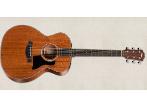 Taylor 324e