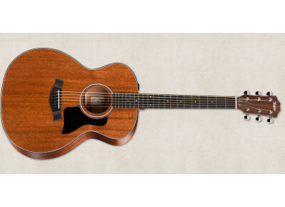 Taylor 324e