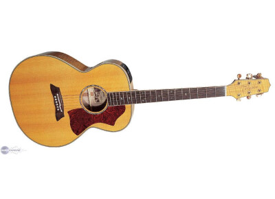 Takamine EF450