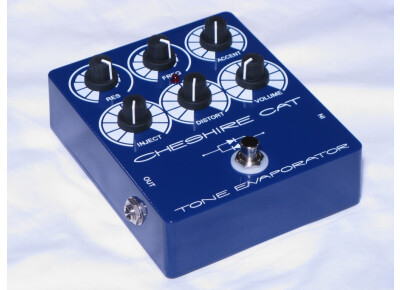 Amzel Electronics Cheshire Cat