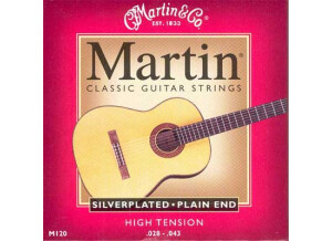 Martin & Co Classic Guitar Silver Plated