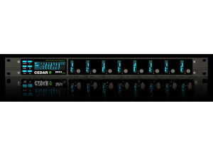 CEDAR Audio DNS 8 Live