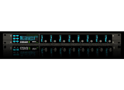 CEDAR Audio DNS 8 Live