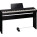 See the photo of the Roland F-20 Roland F-20