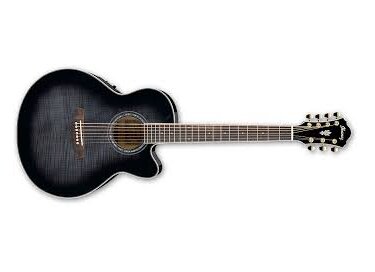 Ibanez AEL207E