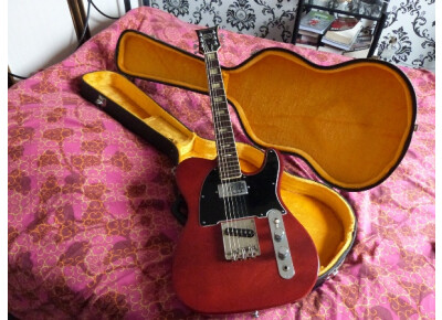 Ampeg Heavy Stud GEH-150