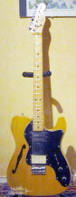 Fender Telecaster Thinline  (1973)