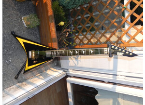 ESP RV-350