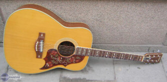 Yamaha FG-300