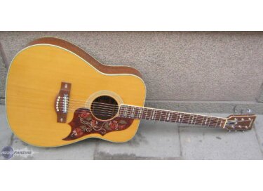 Yamaha FG-300