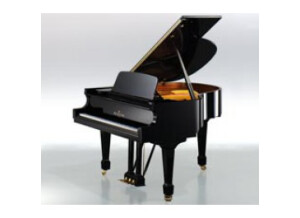 Bechstein B 160