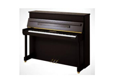 Bechstein Classic 118